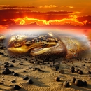 Deserto Bianco 2025   1052